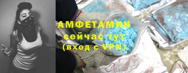 крисы Новокубанск