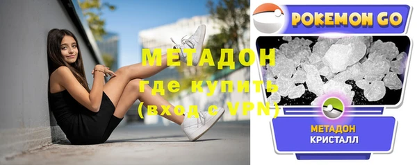 стафф Новозыбков