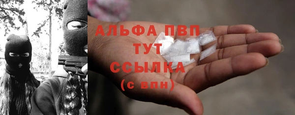 стафф Новозыбков