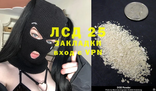 соль ск Новодвинск