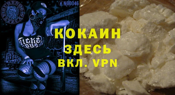 стафф Новозыбков