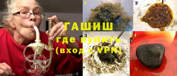стафф Новозыбков