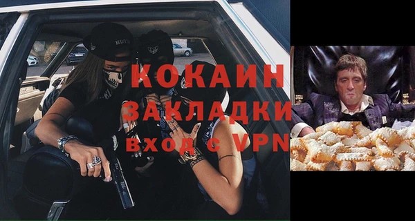 стафф Новозыбков