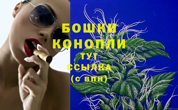 соль ск Новодвинск