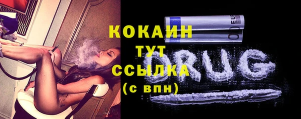 стафф Новозыбков