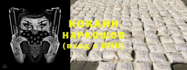 крисы Новокубанск