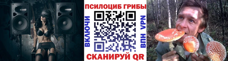 Псилоцибиновые грибы ЛСД  Купить  Светлый 
